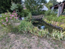 SOUS COMPROMIS Vente en exclusivité – Maison ancienne typique avec jardin dans le centre de Vitry-aux-Loges