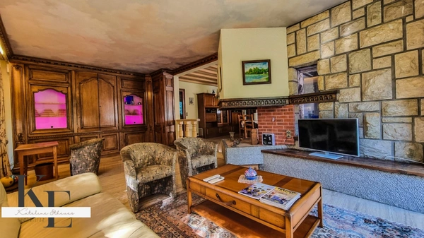 Dpt Haute Savoie (74), à vendre  maison P10 de 310 m² - Terrain de 1 480,00 m² - Plain pied
