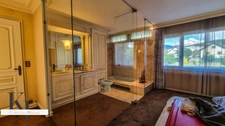 Dpt Haute Savoie (74), à vendre  maison P10 de 310 m² - Terrain de 1 480,00 m² - Plain pied