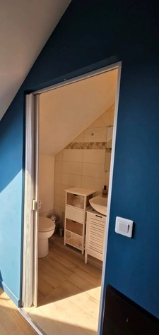 Maison à vendre 10 pièces ROUHLING (57)