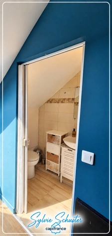 Maison à vendre 10 pièces ROUHLING (57)