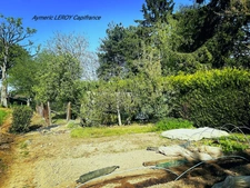 Beautiful 8-room house in Pommerieux (53) near Craon