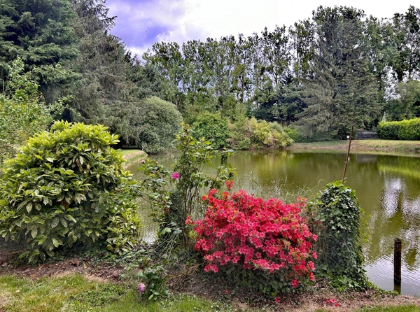 Terrain de loisirs avec un magnifique étang à vendre de 3 500,00 m² CUILLE (53)