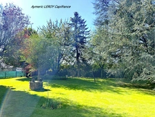 Beautiful 8-room house in Pommerieux (53) near Craon