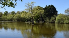 House for sale 10 rooms including two apartments - SAINT URBAIN (85)