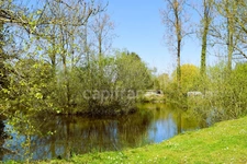 House for sale 10 rooms including two apartments - SAINT URBAIN (85)