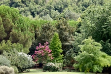 SOUS COMPROMIS - Superbe Propriété de Caractère avec Parc de 3 Hectares axe Uzès-Bagnols sur Cèze.