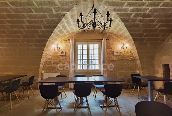 Dpt Gard (30), à vendre UZES propriete P14 de 548 m² - Terrain de 830,00 m² 