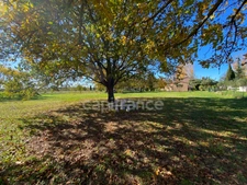 Dpt Gard (30), à vendre 5mn d'UZES, Belle propriété RP, chambres d'hôtes et gîte, piscine, parc 5 000 m2