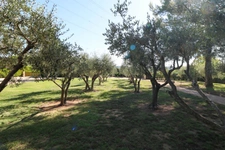 Maison en pierre exceptionnelle sans voisin immédiat avec jardin spacieux, piscine, chalet d'invités à 6 km d'Uzès.