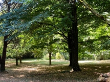 SOUS COMPROMIS - Superbe Propriété de Caractère avec Parc de 3 Hectares axe Uzès-Bagnols sur Cèze.