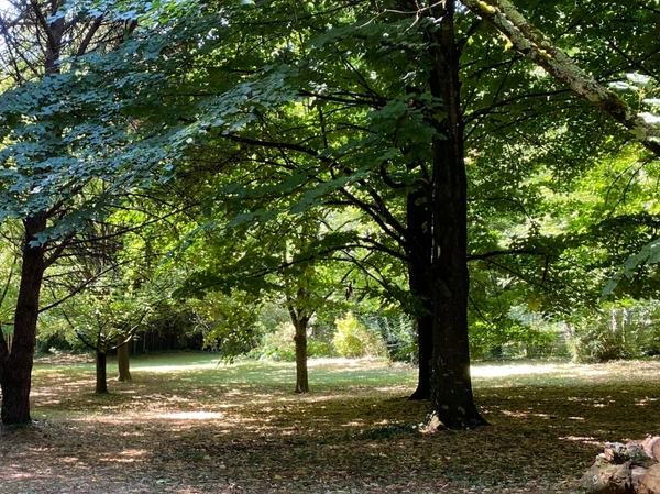 SOUS COMPROMIS - Superbe Propriété de Caractère avec Parc de 3 Hectares axe Uzès-Bagnols sur Cèze.