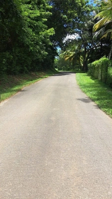 Terrain à vendre de 10 278,00 m² PETIT CANAL (971)