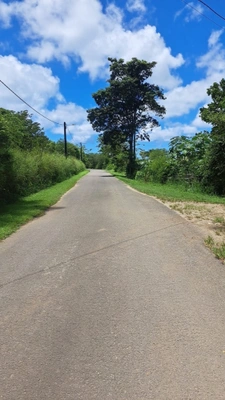 Terrain à vendre de 10 278,00 m² PETIT CANAL (971)