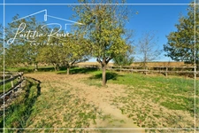 Exceptional stone residence, 370 m², Swimming pool, Pool house, Outbuildings, 3 ha park with lake 25 min from Agen