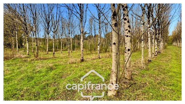 Rare sur le secteur ! Bergerie à rénover avec plus de 4,2 hectares de terrain – Monflanquin