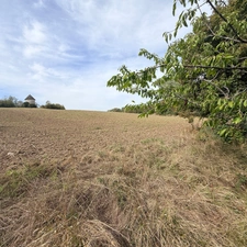 Terrain agricole   (47)