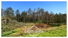 Rare sur le secteur ! Bergerie à rénover avec plus de 4,2 hectares de terrain – Monflanquin