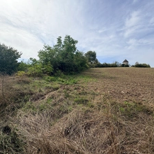 Terrain agricole   (47)