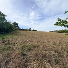 Terrain agricole   (47)