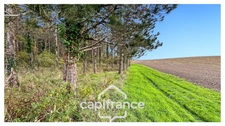 Rare sur le secteur ! Bergerie à rénover avec plus de 4,2 hectares de terrain – Monflanquin