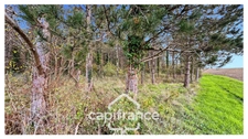 Rare sur le secteur ! Bergerie à rénover avec plus de 4,2 hectares de terrain – Monflanquin