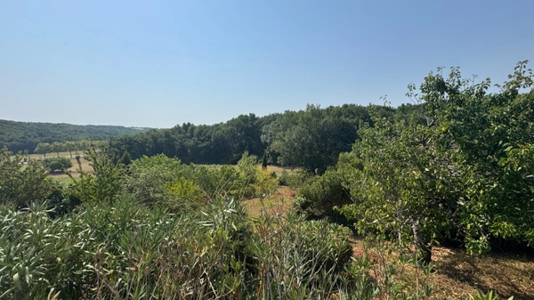 vente de Terrain à  ESTILLAC (47)