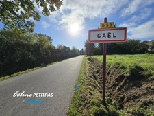 Land for sale of 465.00 m² GAEL (35)
