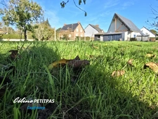 Land for sale of 465.00 m² GAEL (35)