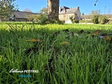 Land for sale of 465.00 m² GAEL (35)