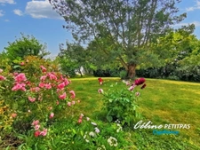 House from 2006 – 6 rooms – 142m² living space – 700m² of land 