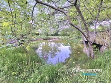 Land for sale IFFENDIC (35)