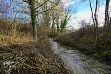 Small farmhouse P3 on 1860m² + 2 ha of agricultural land.