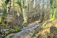 Small farmhouse P3 on 1860m² + 2 ha of agricultural land.