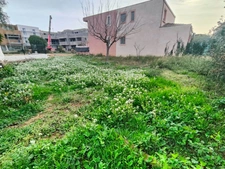 Dpt Hérault (34), à vendre FRONTIGNAN terrain 363M²