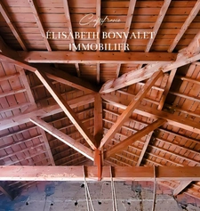 A vendre - Corps de ferme au charme rustique avec un fort potentiel de division - Saint-Laurent-De-Mûre