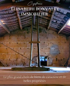 A vendre - Corps de ferme au charme rustique avec un fort potentiel de division - Saint-Laurent-De-Mûre