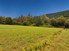 Beau terrain plat