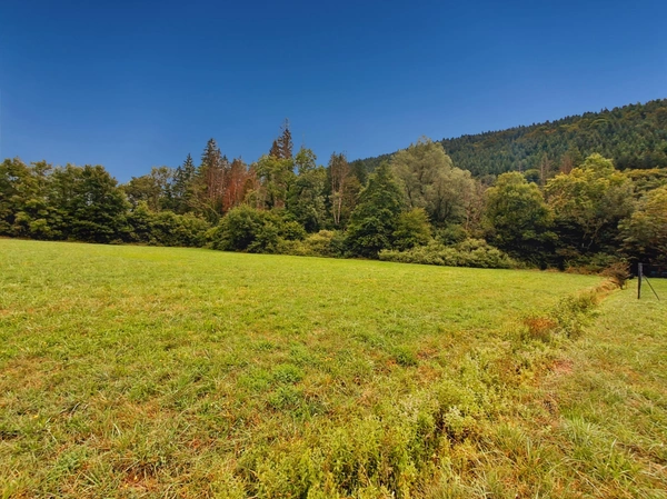 Beau terrain plat