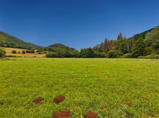 Beau terrain plat