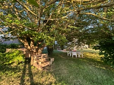 Dpt Tarn et Garonne (82), à vendre Puycornet Propriété avec 2 maisons - Terrain de 11 1685 m² 