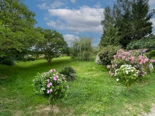 Dpt Tarn et Garonne (82), à vendre Puycornet Propriété avec 2 maisons - Terrain de 11 1685 m² 