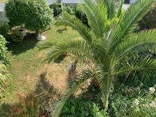 Maison à vendre 6 pièces ERQUY (22)
