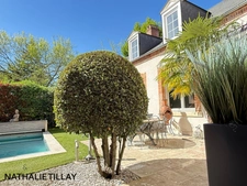 Orleans St Marceau, house for sale, garden and swimming pool, perfect condition, a real gem