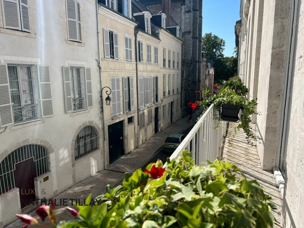 Orleans HYPER CENTRE,  appartement somptueux  de 175 m²  à vendre, dans hotel particulier,