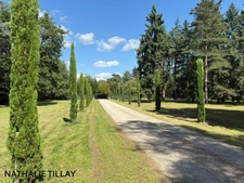 Sologne Plateau, country estate for sale: 33-hectare park, swimming pool, tennis court, typical Sologne biotope: woods, forest, meadows, ponds, small game hunting and fishing. Near Orleans. 