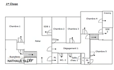  Orléans, demeure de prestige, propriete à vendre, chateau 440 m², piscine, tennis, maison d'amis 85 m², dépendances potentiel aménageable , parc paysagé et arboré 4 ha