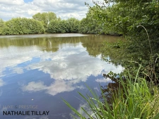 Sologne Plateau, country estate for sale: 33-hectare park, swimming pool, tennis court, typical Sologne biotope: woods, forest, meadows, ponds, small game hunting and fishing. Near Orleans. 