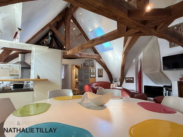 Appartement esprit loft, a vendre, Face Loire Orleans, dernier etage en hotel particulier  