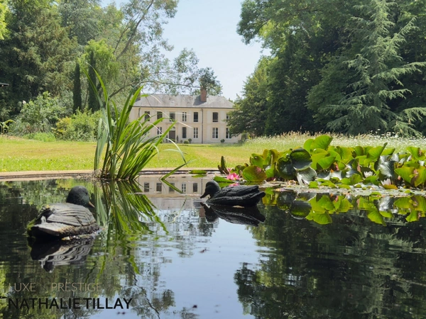 Chateau , propriete à St Jean de Braye, à vendre, Orléans est, parc et dependances.